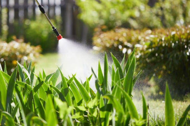 24/7 Emergency Wasp Removal experts in Slaton, TX