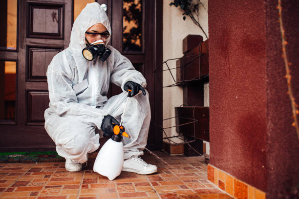Reliable Wasp Removal contractor in Slaton, TX by Show Me Pest Control